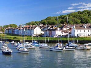 A marina with boats docked, surrounded by colorful houses and greenery. - 2 Bed in Llandysul (oc-85444) (Felindre)