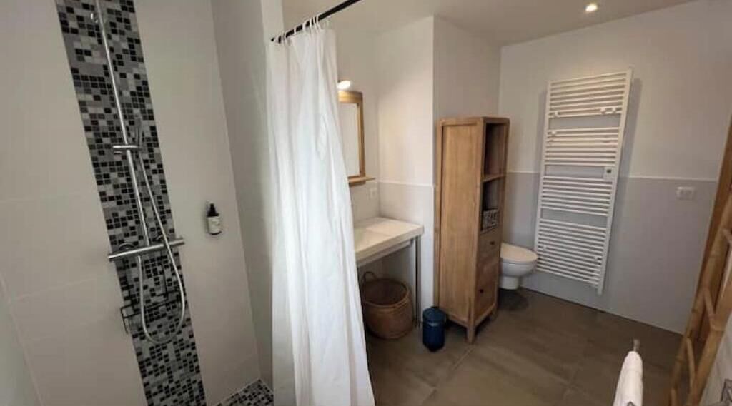Shower, hair dryer, soap
