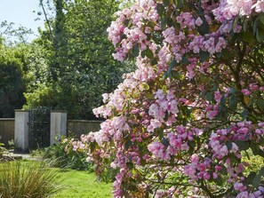 A garden with flowering shrubs and a metal gate. - 2 Bed in Cockermouth (oc-sz381) (Wythop)