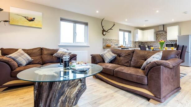 Ein modernes Wohnzimmer mit zwei braunen Ledersofas, einem Glastisch und einer Küche im Hintergrund.