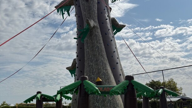 Una gran estructura inflable con forma de árbol que tiene un tobogán, rodeada de césped y una valla.