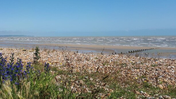 Paisagem costeira com primeiro plano rochoso, uma praia arenosa e céu azul claro.