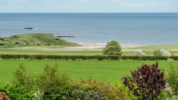 Eine Küstenlandschaft mit Strand, grünen Feldern und blauem Himmel.