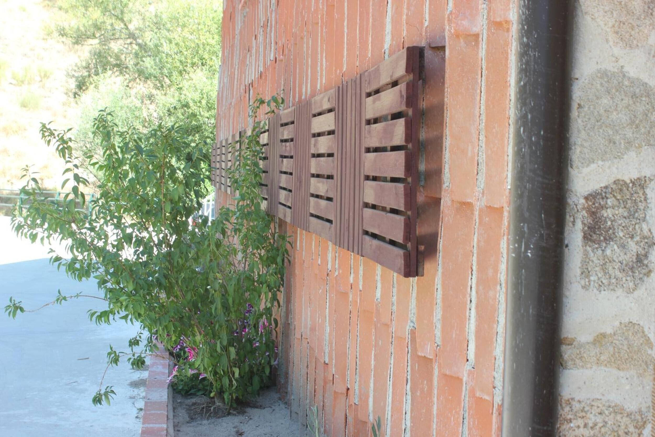 Pared de ladrillo con una ventana de celosía de madera y una planta a su lado.