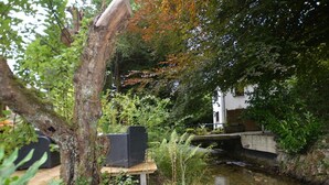 Un espace extérieur paisible, avec un petit ruisseau, un banc en bois et un bâtiment blanc en arrière-plan.