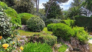 Ein angelegter Garten mit verschiedenen Sträuchern und Bäumen.