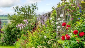 Um jardim com diversas plantas e flores, uma cerca de madeira e céu claro.