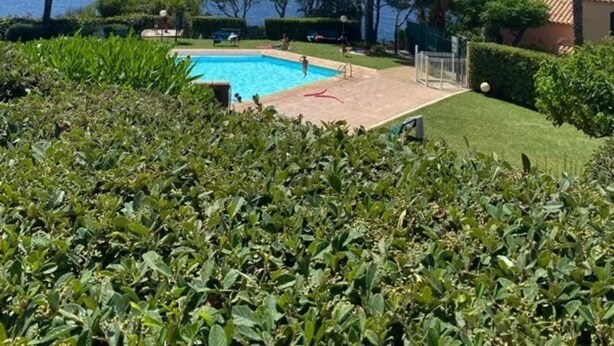 Ein Swimmingpool mit Meerblick, umgeben von viel Grün und einigen Bäumen.
