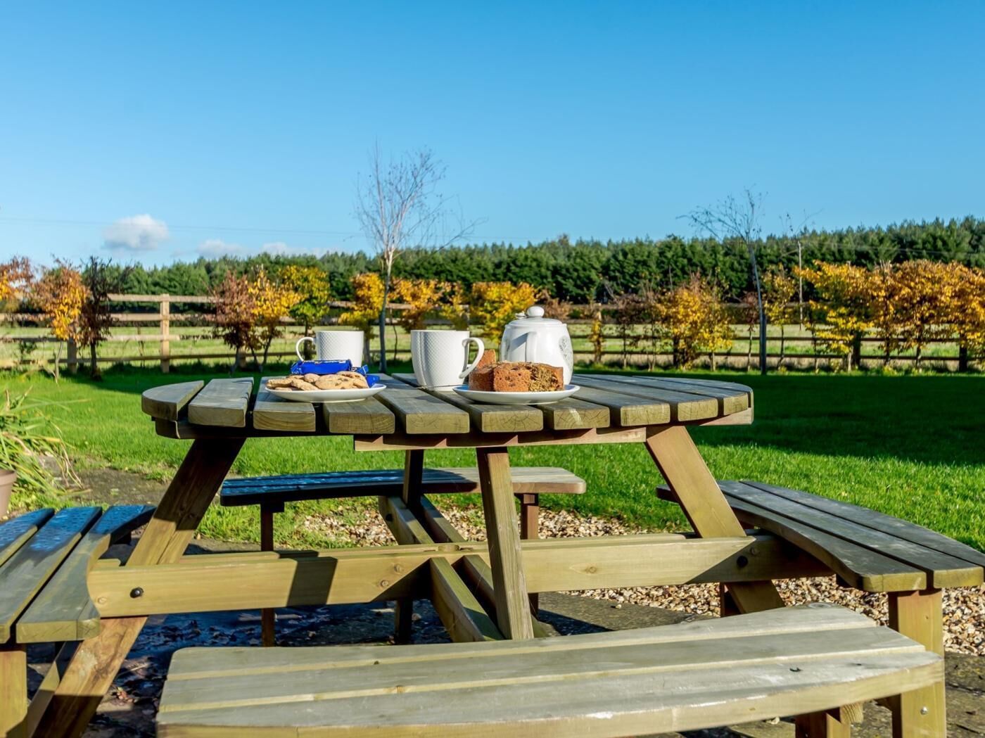 Een picknicktafel met een bord koekjes, een mok en een theepot.