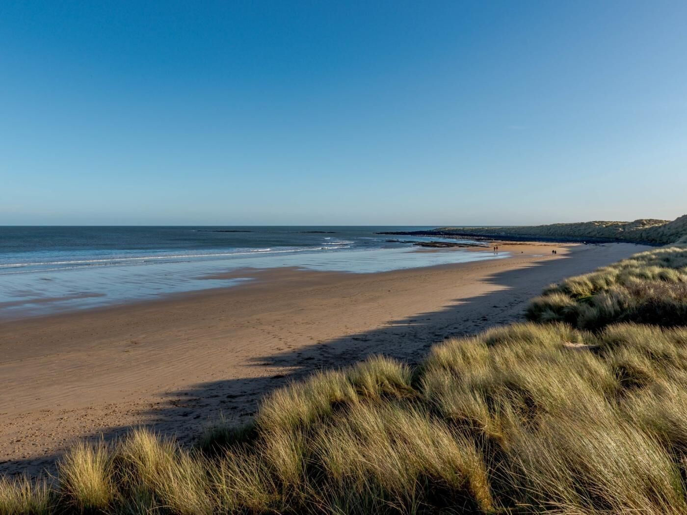 A beach with a clear sky, sandy shore, and grassy dunes.