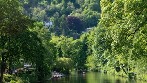 Um rio com barcos, rodeado por vegetação densa e casas ao fundo.