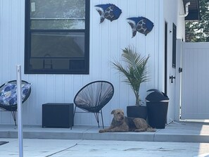 A building with a white exterior, a large window, and two decorative fish mounted on the wall. - The Grand River Retreat. Pool/ hot tub avail Sep (Belle River)