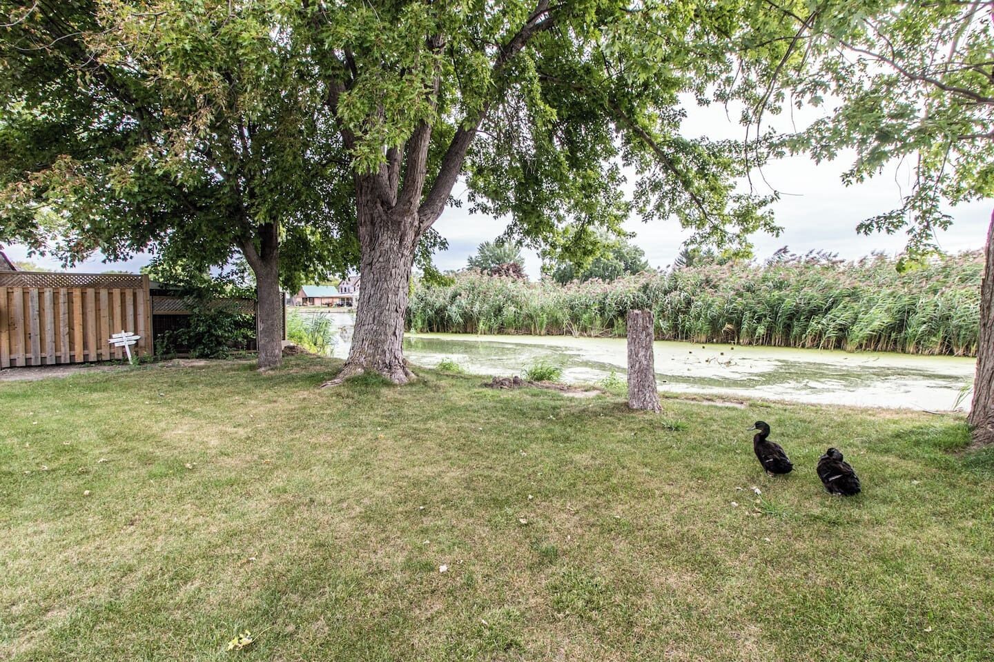 Property grounds