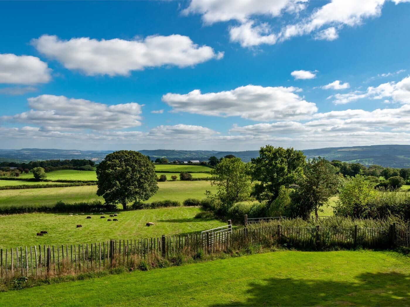 Un paysage rural avec des champs verdoyants, des arbres et un ciel bleu dégagé.