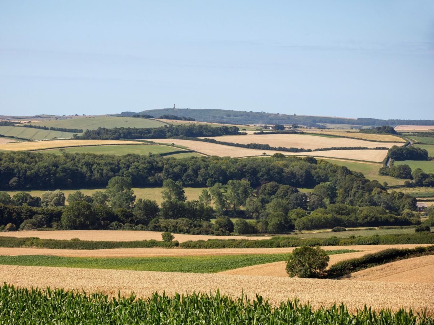 A rural landscape with rolling hills, fields, and scattered trees.
