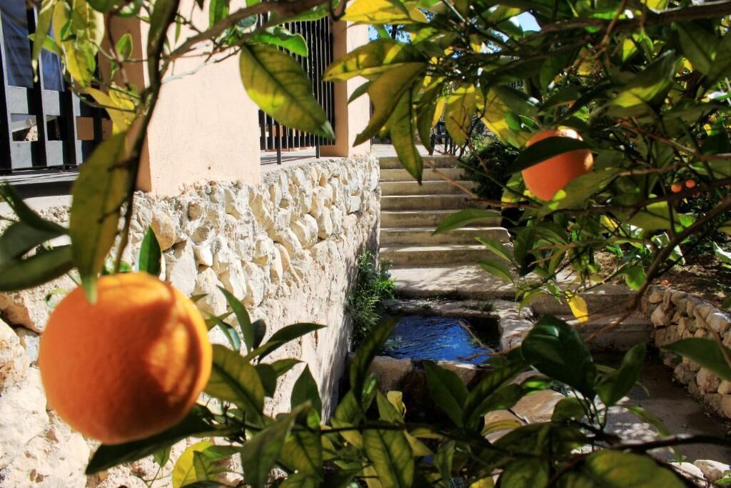 A stone wall, a small water feature, and orange fruits on a tree.