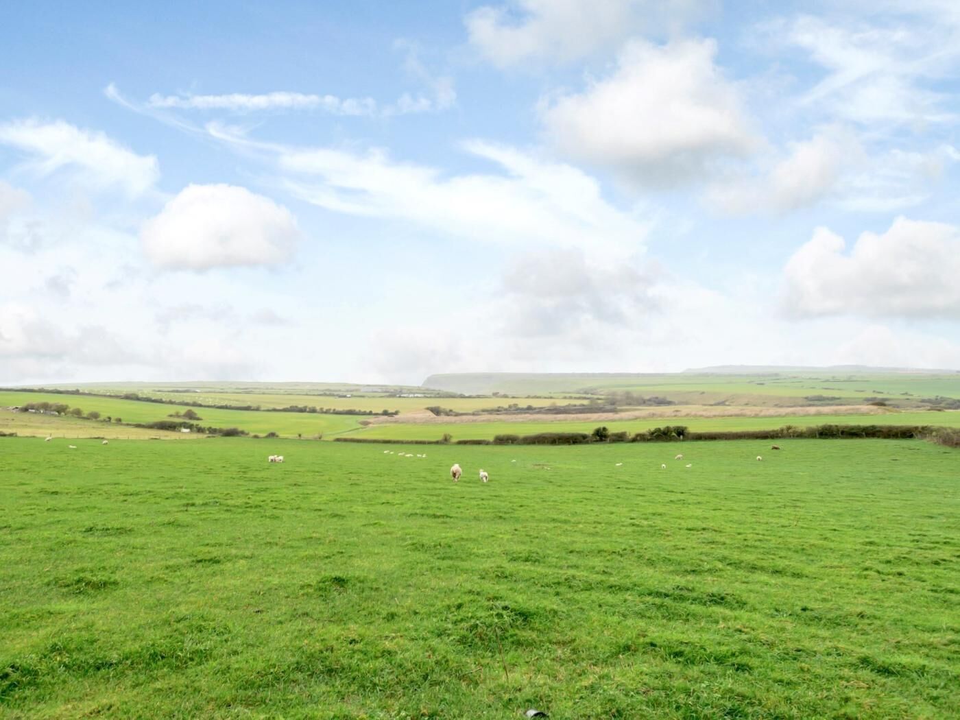 A wide-open grassy field with scattered sheep and a distant view of rolling hills under a partly cloudy sky.
