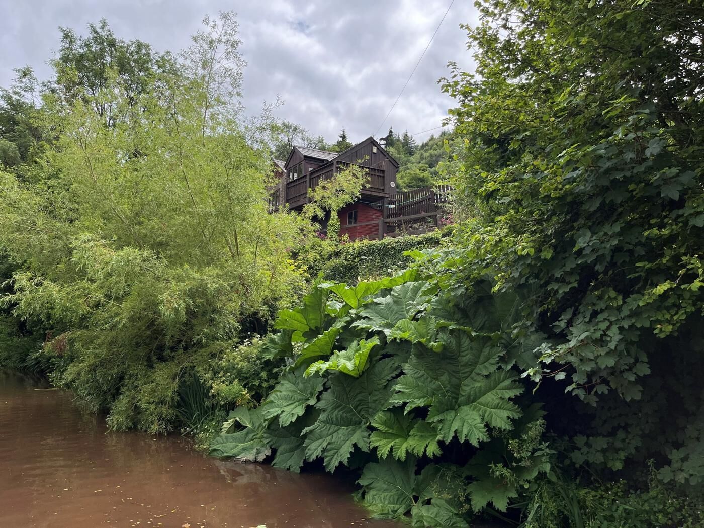 Een rivier met weelderige begroeiing aan de overkant en een houten huis met terras op de achtergrond.