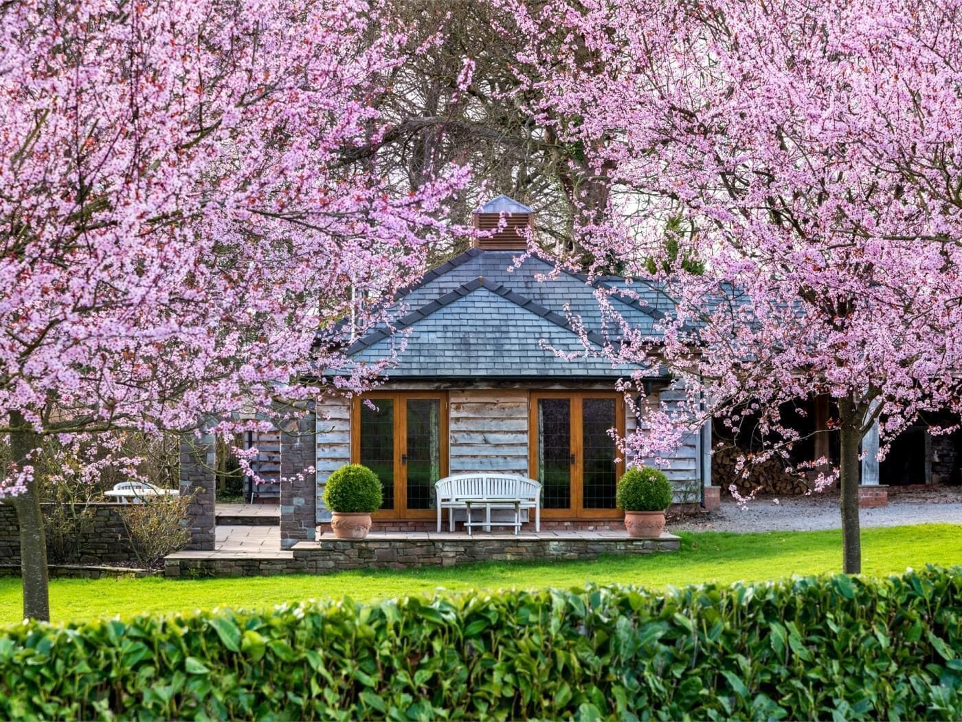 Eine Holzhütte mit Veranda, umgeben von blühenden Kirschbäumen.