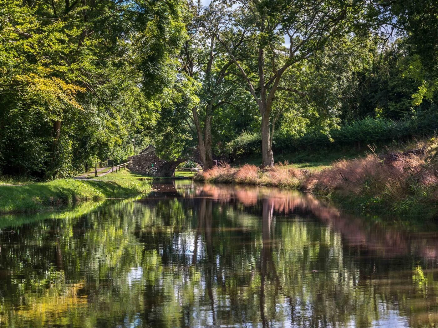 A tranquil pond surrounded by lush greenery and trees.