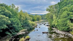 Ein Fluss fließt durch ein bewaldetes Gebiet mit üppiger Vegetation an beiden Ufern.
