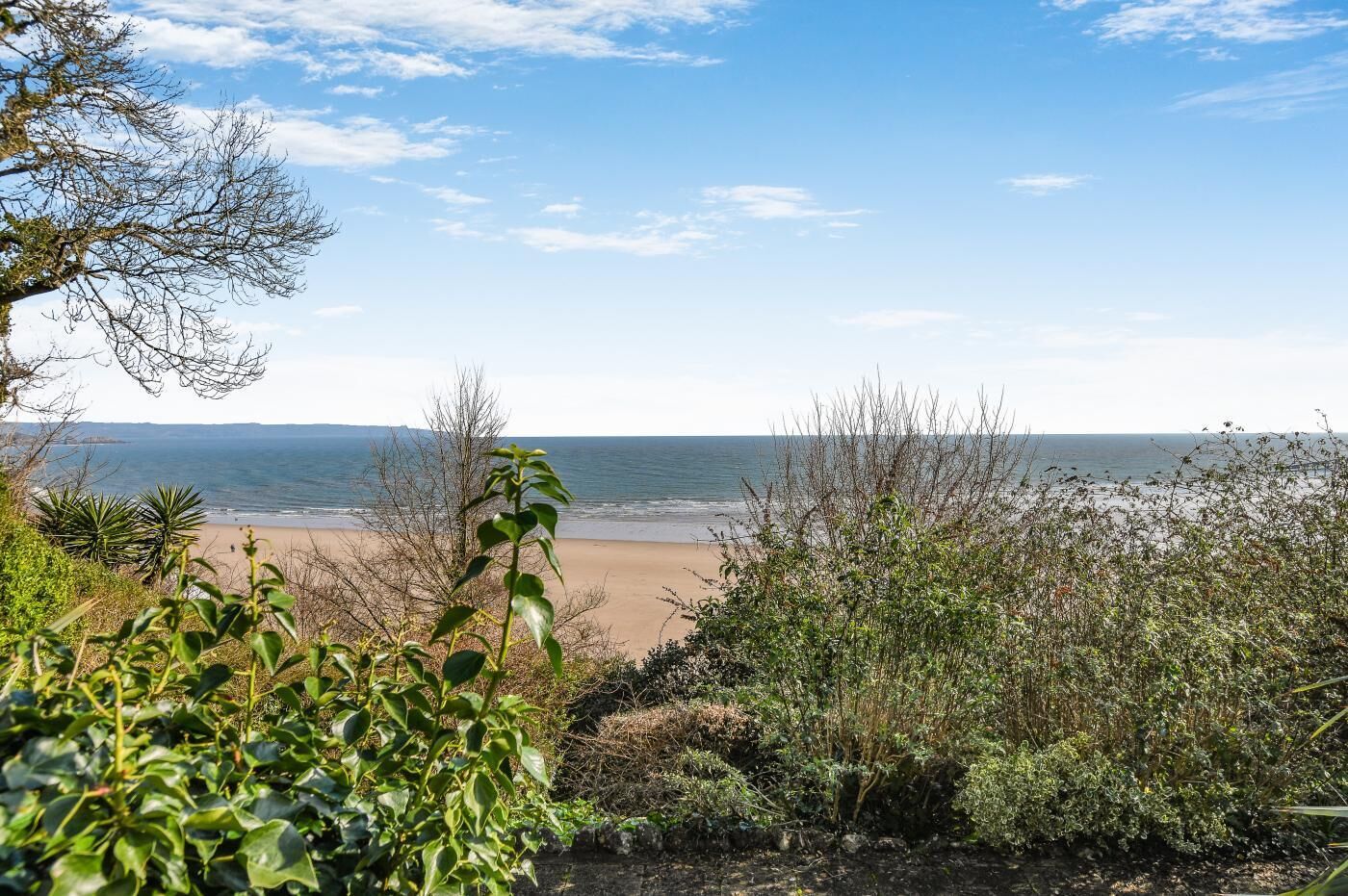 A beach view with a clear sky, sandy shore, and dense vegetation in the foreground.
