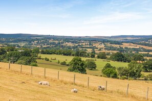 Ländliche Landschaft mit sanften Hügeln, einem eingezäunten Feld und weidenden Schafen.