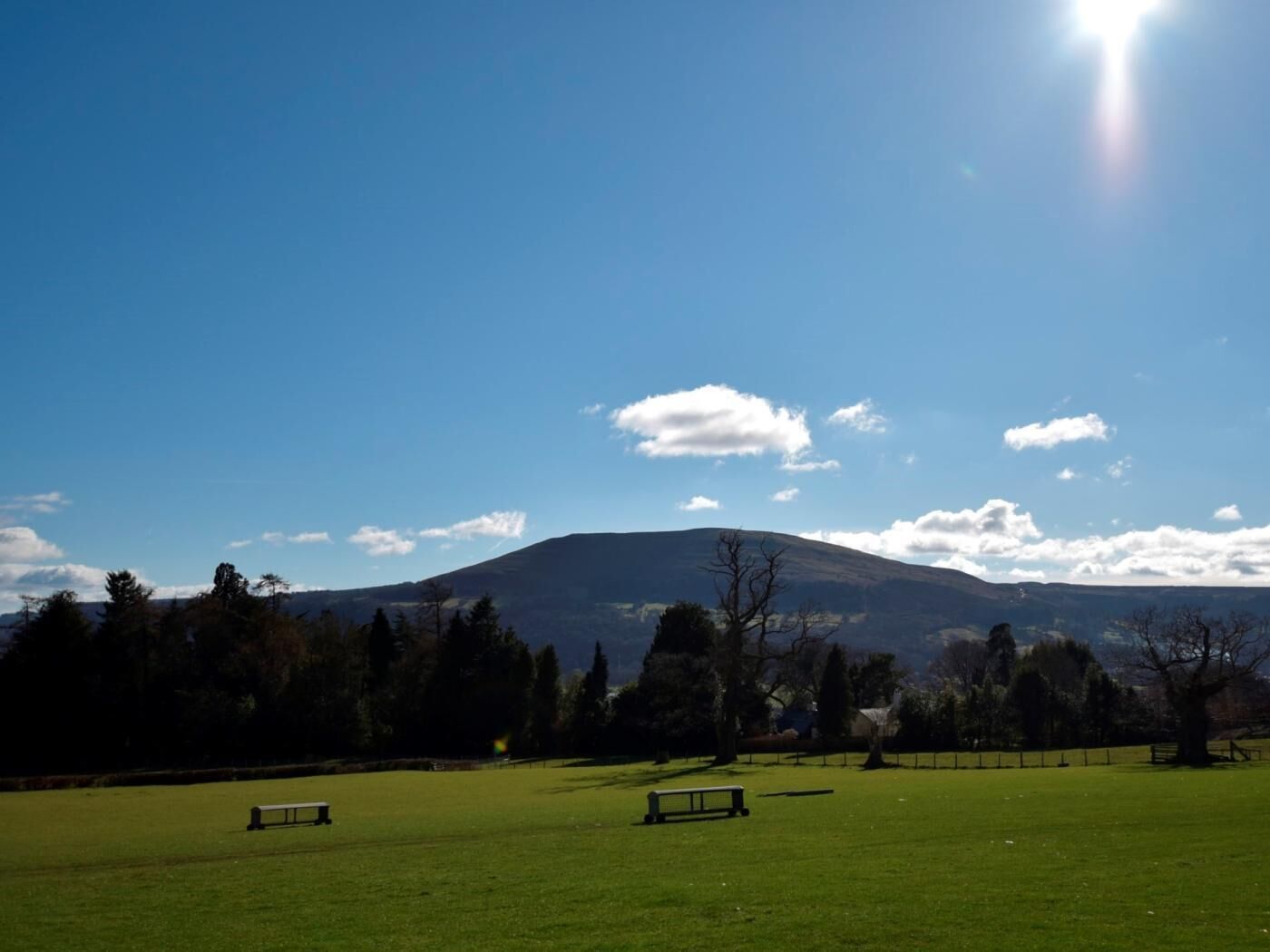 A grassy field with benches, trees, and a mountain in the background.