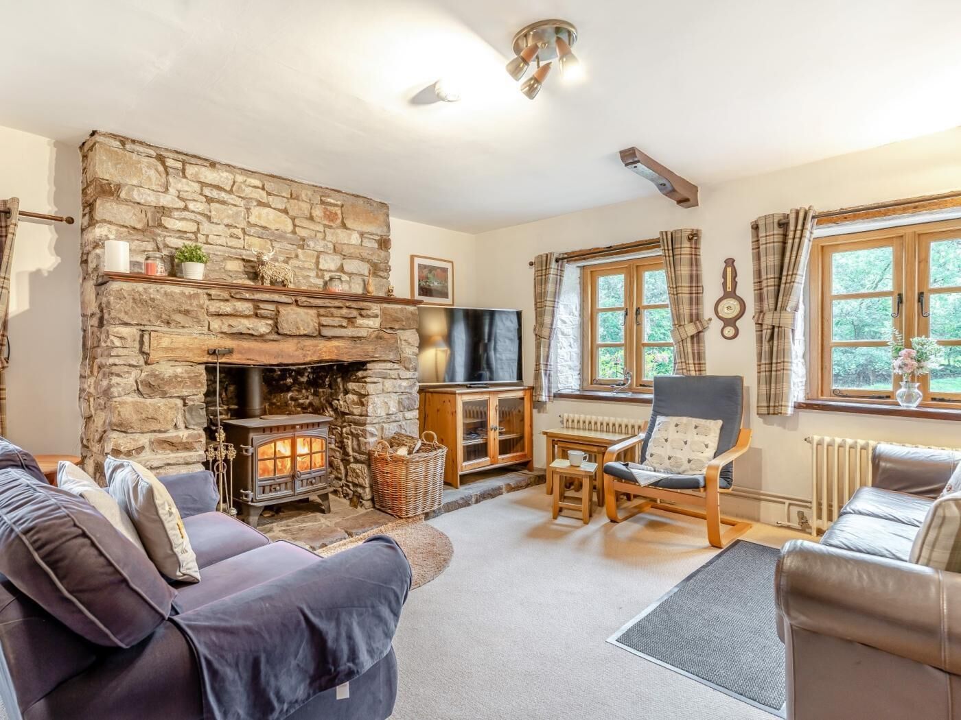 TV, fireplace