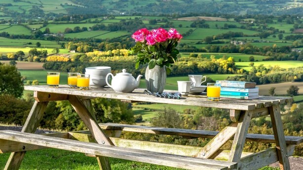 Un montaje para picnic con una mesa, un florero y vistas a colinas ondulantes.