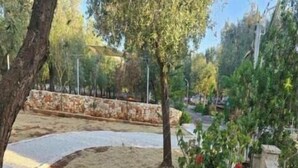 Property grounds - Villa Trullo Septis – Authentic Puglia Amid Olive Trees and Relaxation (Puglia)
