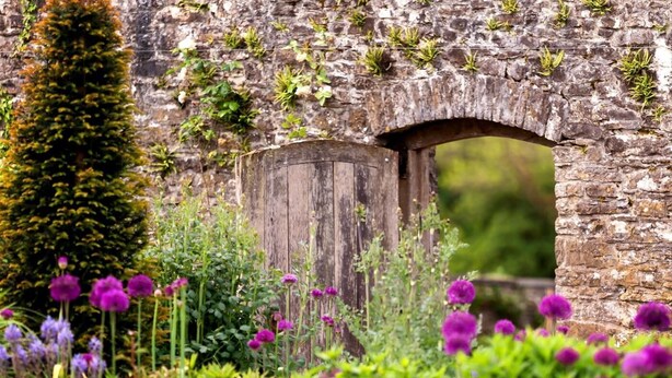 Ein steinerner Bogen mit einer Holztür, umgeben von üppigem Grün und violetten Blüten.