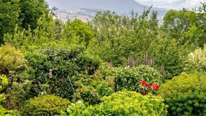 Ein üppiger Garten mit verschiedensten Pflanzen und Blumen, ein klarer Himmel und eine ferne Bergkette.
