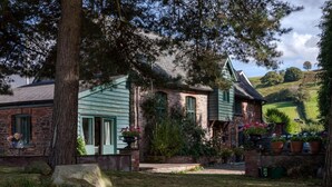 Een traditioneel stenen huis met een groen dak, een grote boom ervoor en een verzorgde tuin met bloempotten.