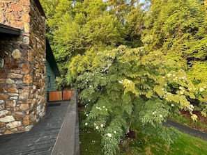 Property grounds -  4-bedroom mountain cabin in fantastic Spruce Pine with amazing views (Spruce Pine)