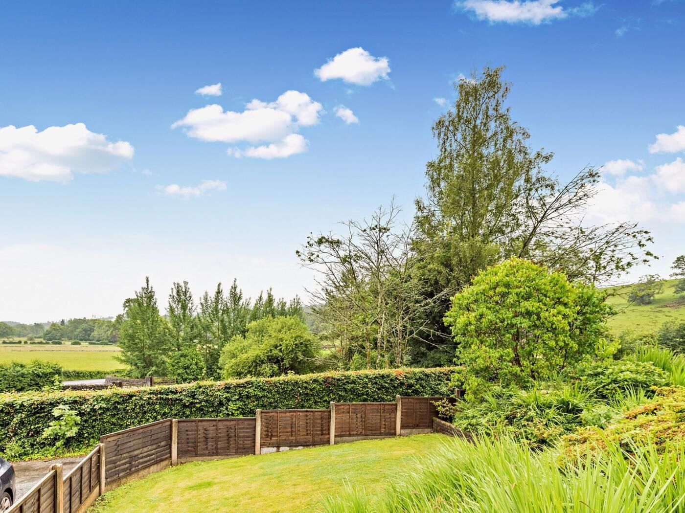 A fenced garden with a variety of trees and shrubs, a wooden fence, and a clear blue sky.