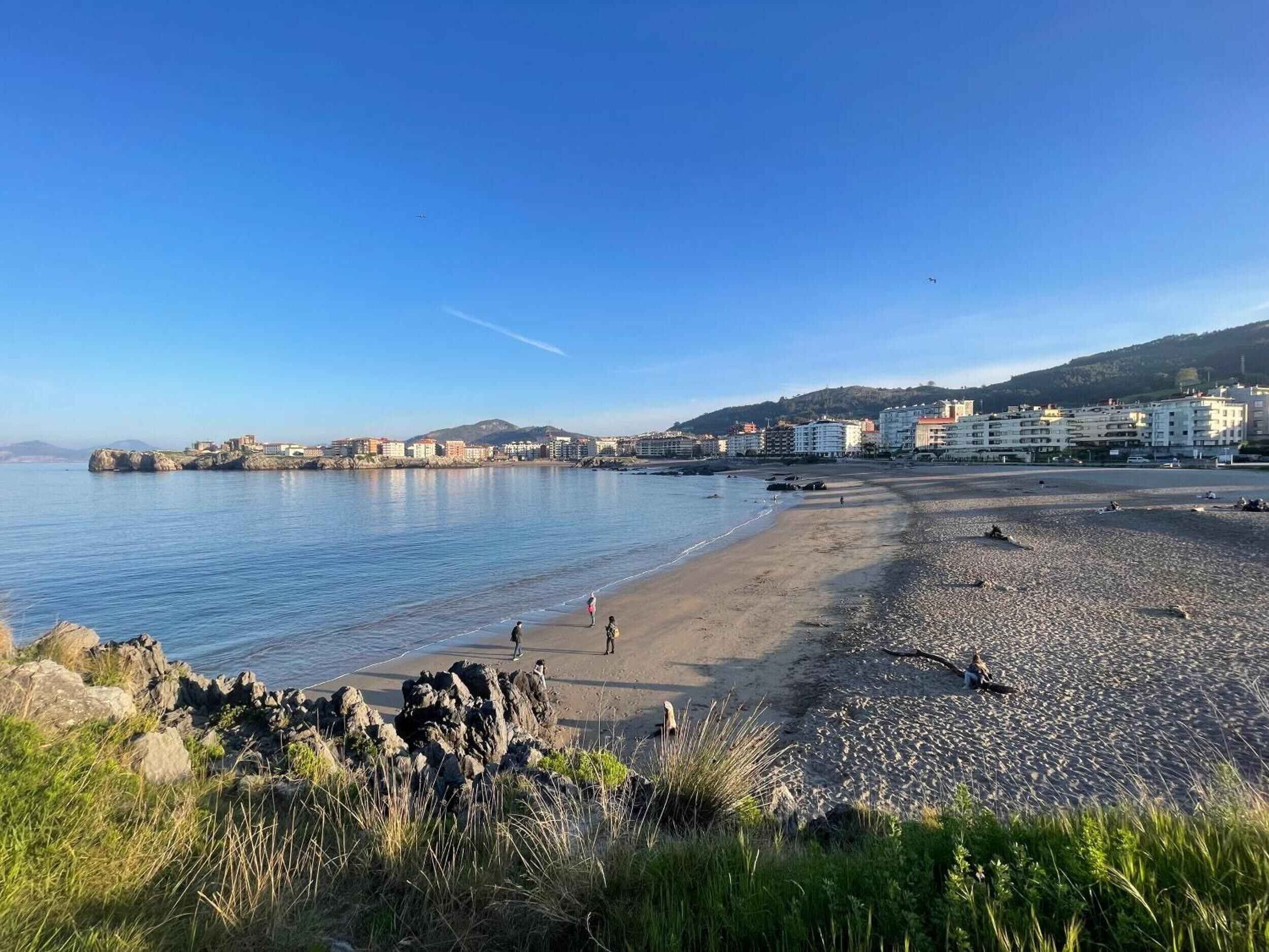 Una playa costera con edificios al fondo.