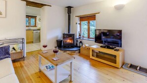 Ein gemütliches Wohnzimmer mit Kamin, Fernseher und Essbereich.