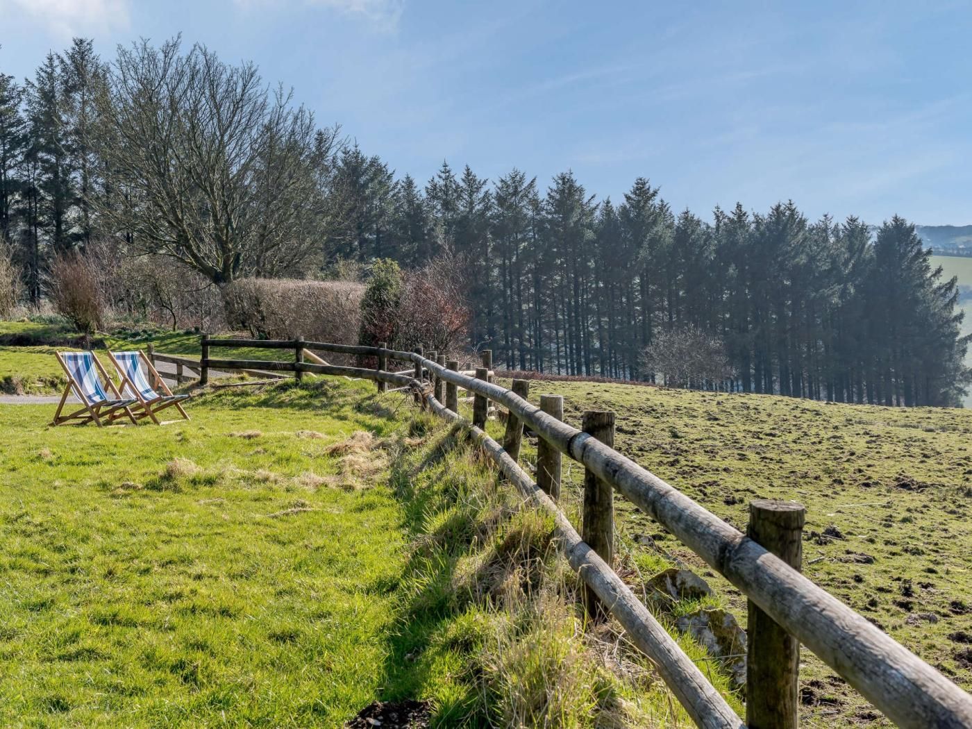 Een grasveld met een houten hek en twee ligstoelen.