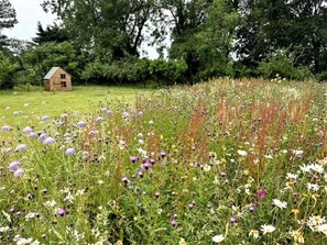 Property grounds - 4 Bed in Melton Constable (oc-83070) (Sharrington)