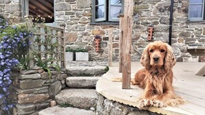 Ein Steinhaus mit einer Holzterrasse, auf der ein Hund liegt.