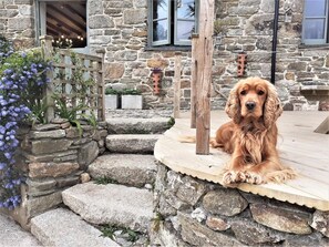 Ein Steinhaus mit einer Holzterrasse, auf der ein Hund liegt.
