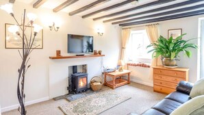 Ein gemütliches Wohnzimmer mit Kamin, Fernseher, Sofa und einer Topfpflanze.