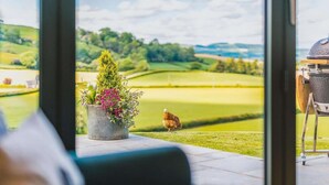 Uitzicht vanuit een raam, met een bloempot, een kip en een barbecue.