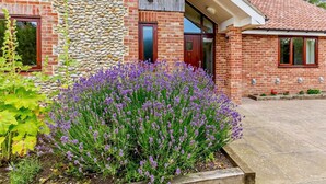 A modern house with a stone wall, a red door, and a garden with purple flowers. - 3 Bed in Holt (oc-83628) (Blakeney)