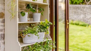 A stone wall with a wooden door, a shelf with potted plants, and a garden visible through the door.