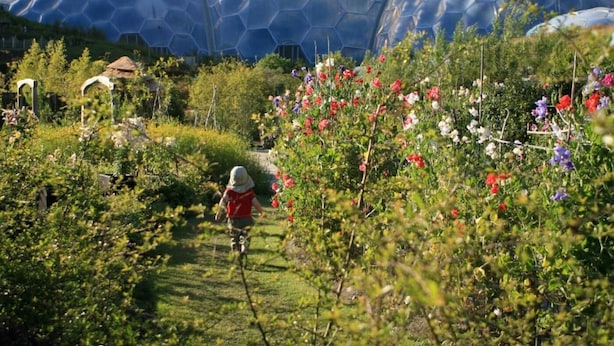 Um caminho no jardim que leva a grandes cúpulas geodésicas.