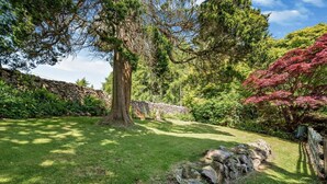 Un mur de pierres, un grand arbre et une pelouse bien entretenue.