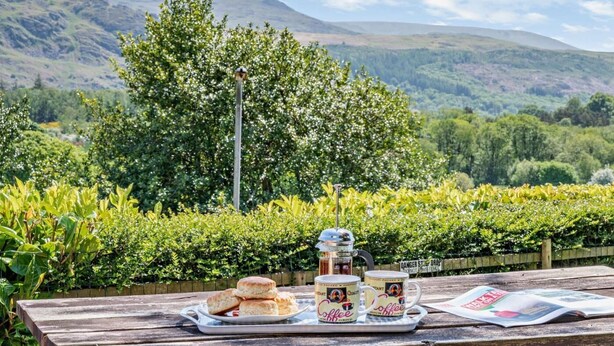 Une table de pique-nique avec des biscuits, des tasses à café et un journal.