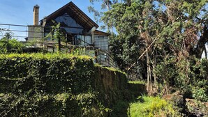 Una casa moderna con un amplio ventanal de vidrio, una chimenea y vistas a la vegetación circundante.
